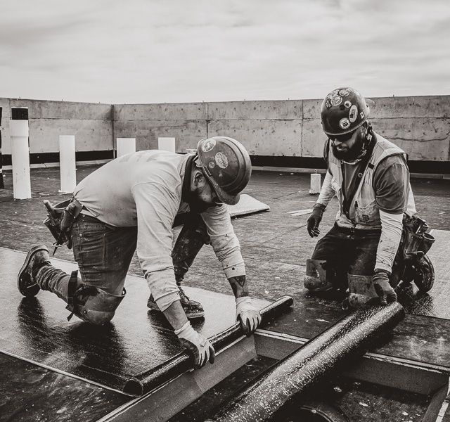 New Commercial Roof